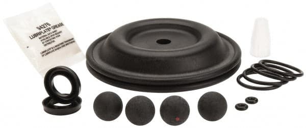 Diaphragm Pump Fluid Section Repair Kit: Nitrile, Includes Balls, Diaphragms & Seals MPN:637427-GG