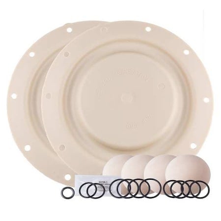 Diaphragm Pump Repair Kit, Includes Balls, Diaphragms, Seals MPN:637140-EB