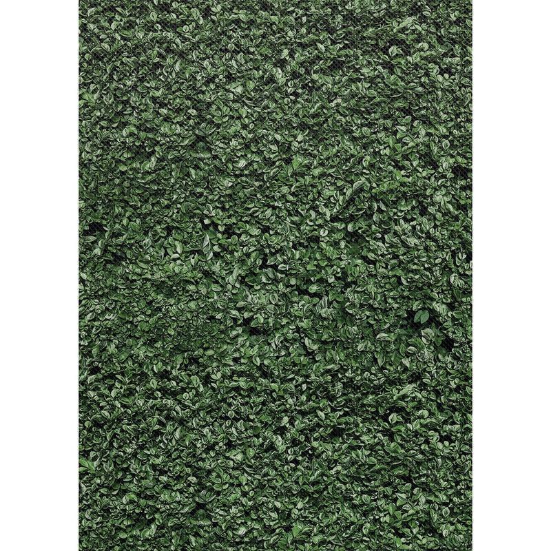 Teacher Created Resources Better Than Paper Bulletin Board Paper, 4ft x 12ft, Boxwood, Pack Of 4 Rolls MPN:TCR32357