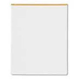 Desk Protector and Organizer 17 X 21 Clear SS1721
