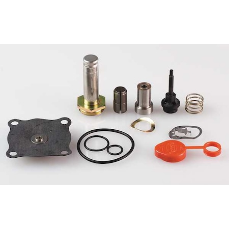 Valve Rebuild Kit, With Instructions MPN:302334