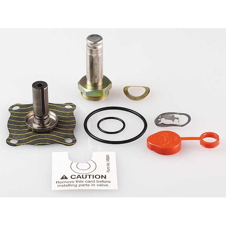Valve Rebuild Kit, For Use w/4ELZ4 MPN:306632