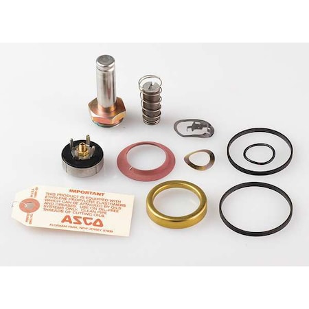 Valve Rebuild Kit, With Instructions MPN:310716