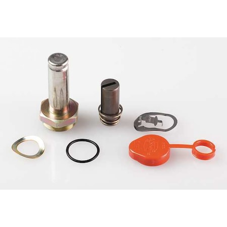 Valve Rebuild Kit, With Instructions MPN:304354