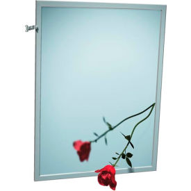 ASI® Adjustable Tilt Stainless Steel Frame Mirror - 24