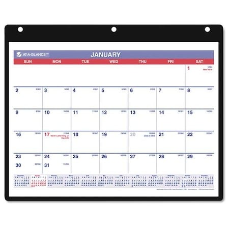 Monthly Desk/Wall Calendar with Plastic Backboard and Bonus Pages, 11 x 8, 12-Month (Jan-Dec): 2025 MPN:AAGSK800