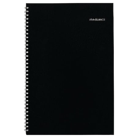 DayMinder Monthly Planner, Ruled Blocks, 12 x 8, Black Cover, 14-Month: Dec 2024 to Jan 2026 MPN:SK2-00