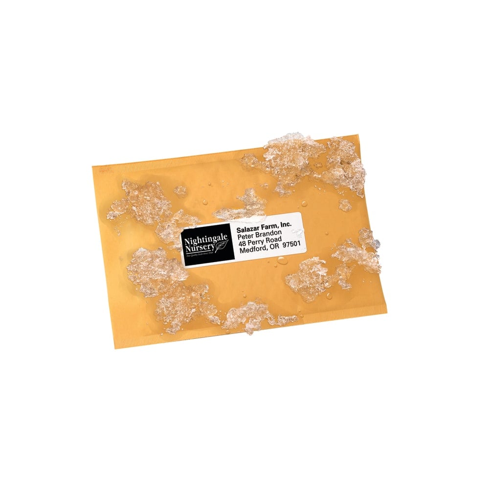 Avery WeatherProof Mailing Labels With TrueBlock Technology, 95522, 1 3/8in x 4in, White, Pack Of 7, 000 MPN:95522