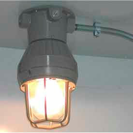 Securall® Additional Interior Explosion-Proof Light for Hazmat Buildings Op0001-LED-A