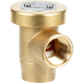 Allpoints 561597 Vacuum Breaker - 3/4