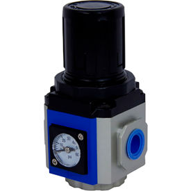 Bimba MFD MGAR300 Port Adaptor 1/8 NPT Regulator & Filter-Regulator MGAR300-GA-NPT