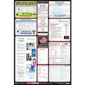 Labor Law Poster - Illinois PPG300IL