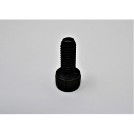 JET® Cap Screw M5 X 0.8P X 10Lg (Pfeeders) JT9-6288763 JT9-6288763