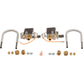 Allpoints 8009343 Baso Pilot Retro Kit - Lp For Henny Penny 140132
