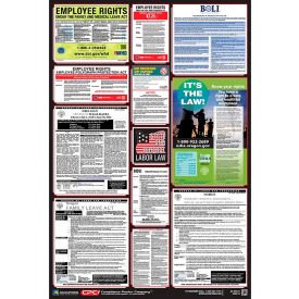 Labor Law Poster - South Carolina PPG300SC