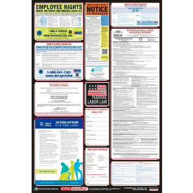 Labor Law Poster - New Hampshire PPG300NH