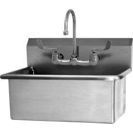 Sani-Lav® 531F Wall Mount Scrub Sink With Faucet 531F
