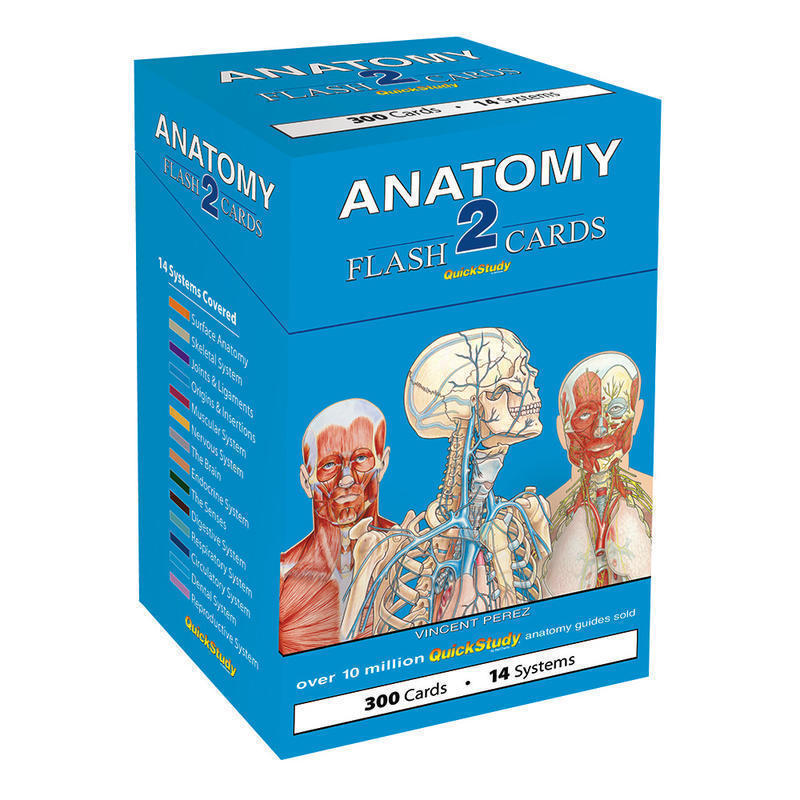 QuickStudy Flash Cards, 4in x 3-1/2in, Human Anatomy 2, Pack Of 300 Cards MPN:232469
