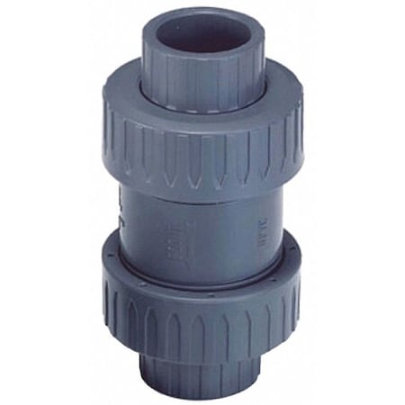 Check Valve, PVC, 2