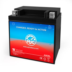 AJC® BMW K75S 750CC ATV Replacement Battery 1985-1987 12V B AJC-PS-AIX30L-511011