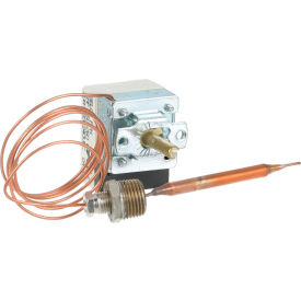 Allpoints 8011560 Thermostat For Legion Industries 407770-1
