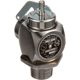 Allpoints 1661179 Valve Safety Relief 3/4