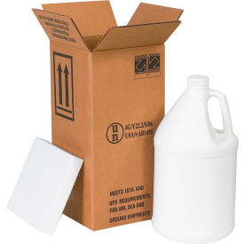 GoVets™ One 1 Gal. Plastic Jug Haz Mat Shipper Kit 6