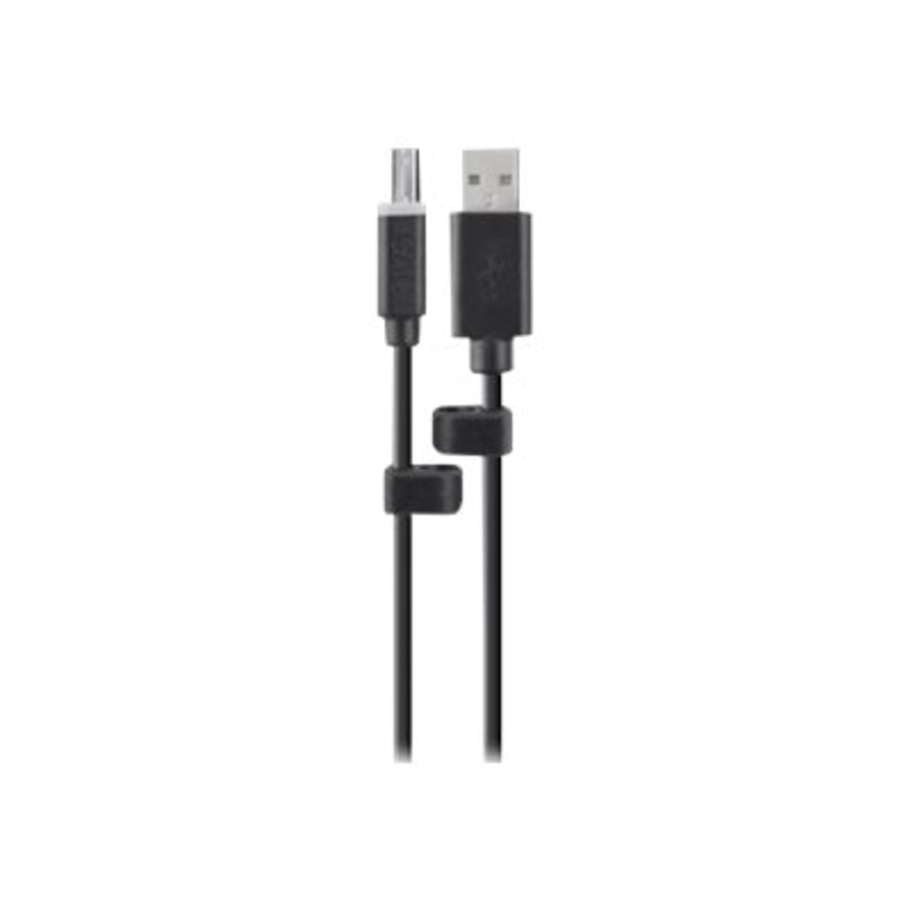 Belkin TAA CAC USB A/B SKVM CABLE, 6ft - 6 ft USB KVM Cable - F1D9013B06T MPN:F1D9013B06T