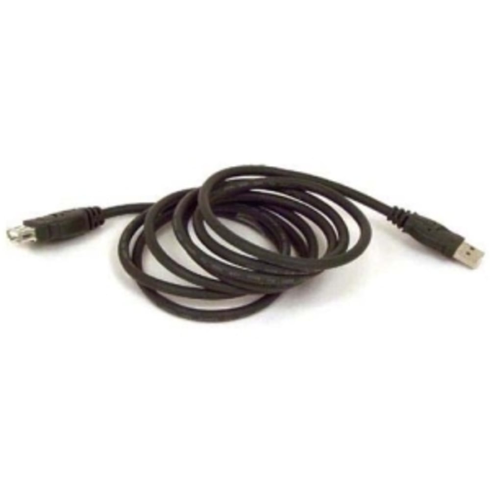Belkin Pro Series USB 1.1 Extension Cable - Type A Male USB - Type A Female USB - 10ft MPN:F3U134B10