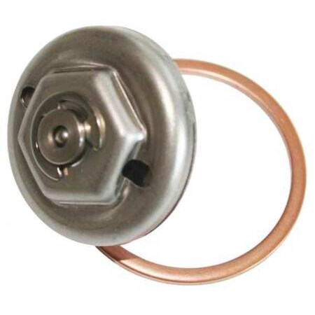 Replacement Module For Steam Trap MPN:600056