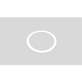 Benchmark Scientific Gasket For Stainless steel 25ml Jar IPD9600-25G