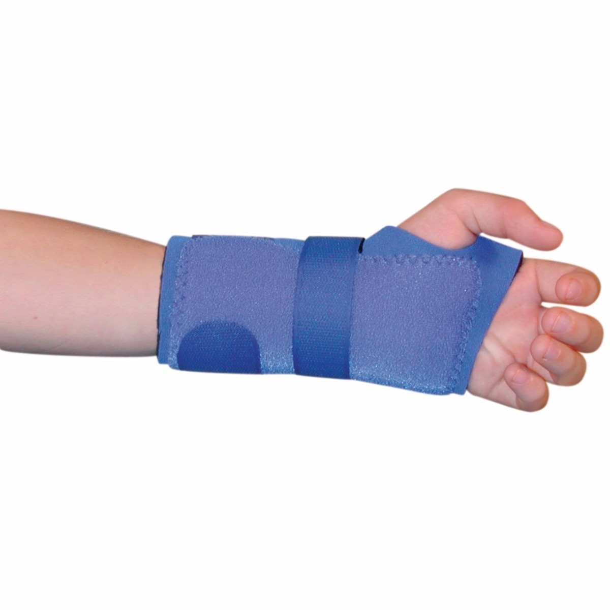 Example of GoVets Benik category