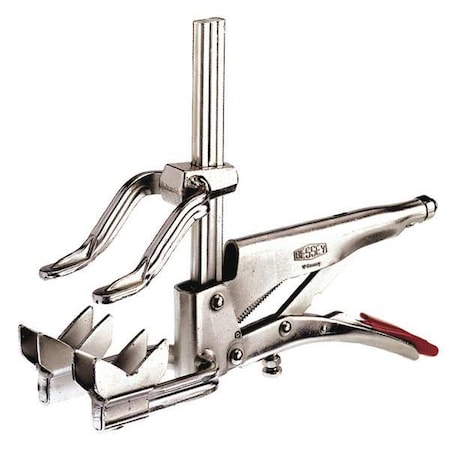 Example of GoVets Bessey category