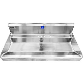 BSM Inc. Elite ADA SS Sink 1 Station Body Only Wall Mount 36