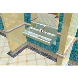 BSM Inc. Elite ADA SS Sink 1 Station w/ Deck Electronic Faucet Wall Mount 42