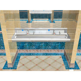 BSM Inc. Elite ADA SS Sink 2 Station with Elec. Faucet 7-3/4