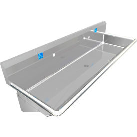 BSM Inc. ADA SS Sink 2 Station Body Only Wall Mount 60