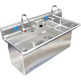 BSM Inc. ADA SS Sink 2 Station with Plumbing Skirt & Electronic Faucet 48
