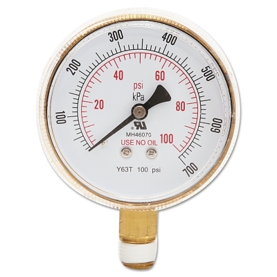 Bw 2-1/2X100 Brass Replacement Gauge MPN:900-B25100