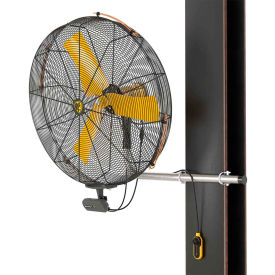 Big Ass Fans® AirEye® 36