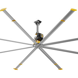 Example of GoVets Ceiling Fans category