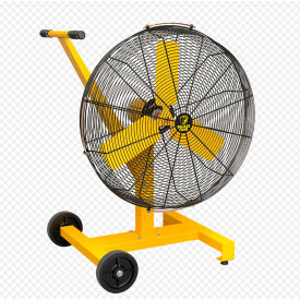 Big Ass Fans AirEye Directional Fan with Pedestal Mount/Low Rider Base 30