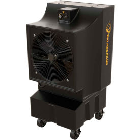 Big Ass Fan® 18