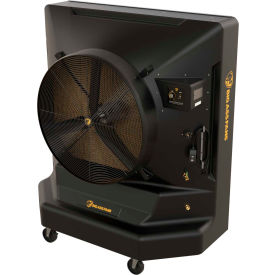 Big Ass Fan® 36