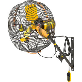 Big Ass Fans AirEye Directional Fan with Wall Mount 20