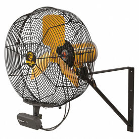 Big Ass Fans AirEye Directional Fan with Wall Mount & AEOS 20