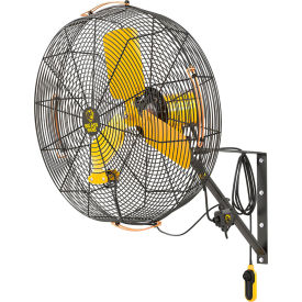 Big Ass Fans AirEye Directional Fan with Wall Mount 24