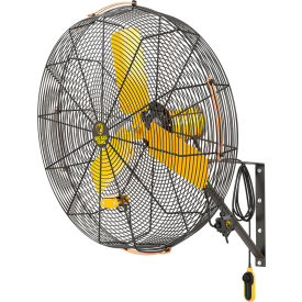 Big Ass Fans AirEye Directional Fan with Wall Mount 30