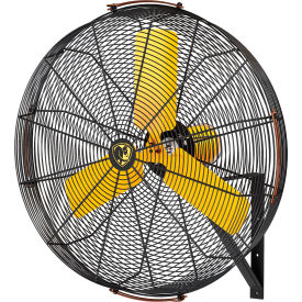 Big Ass Fans® AirEye® 36