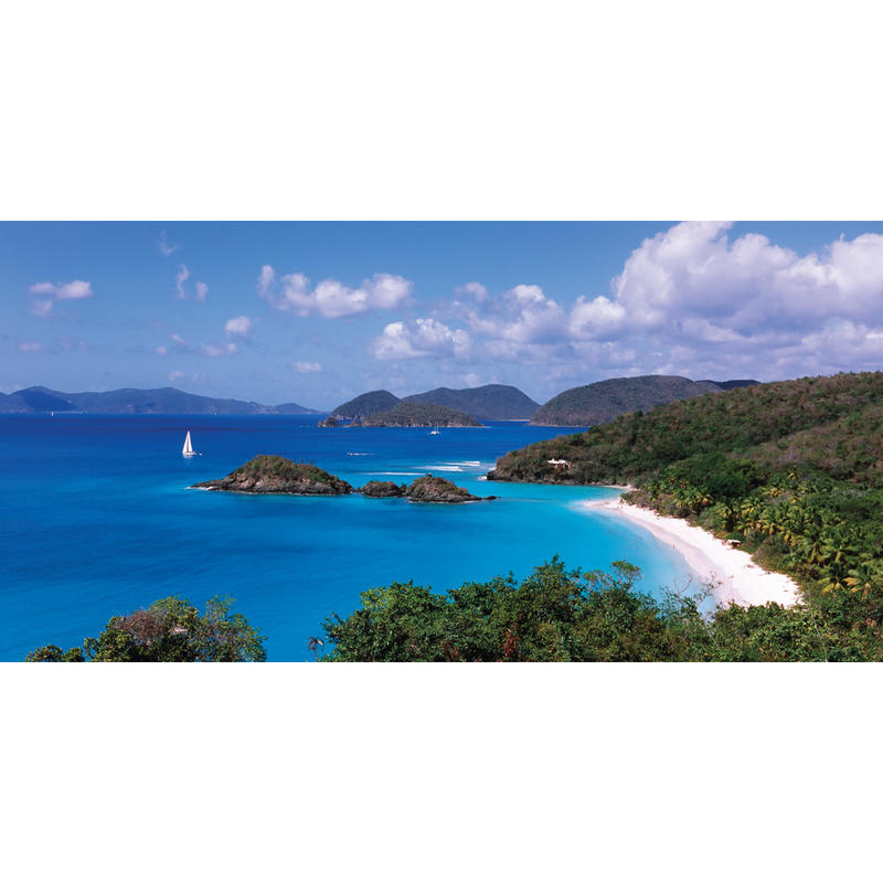 Biggies Wall Mural, 60in x 120in, Island Cove MPN:WM-ICV-120